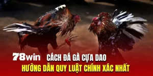 cách đá gà cựa dao 78win